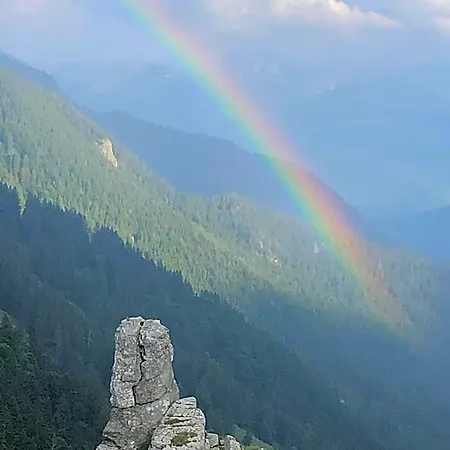 Sonnenalm Kampenwand Frasdorf